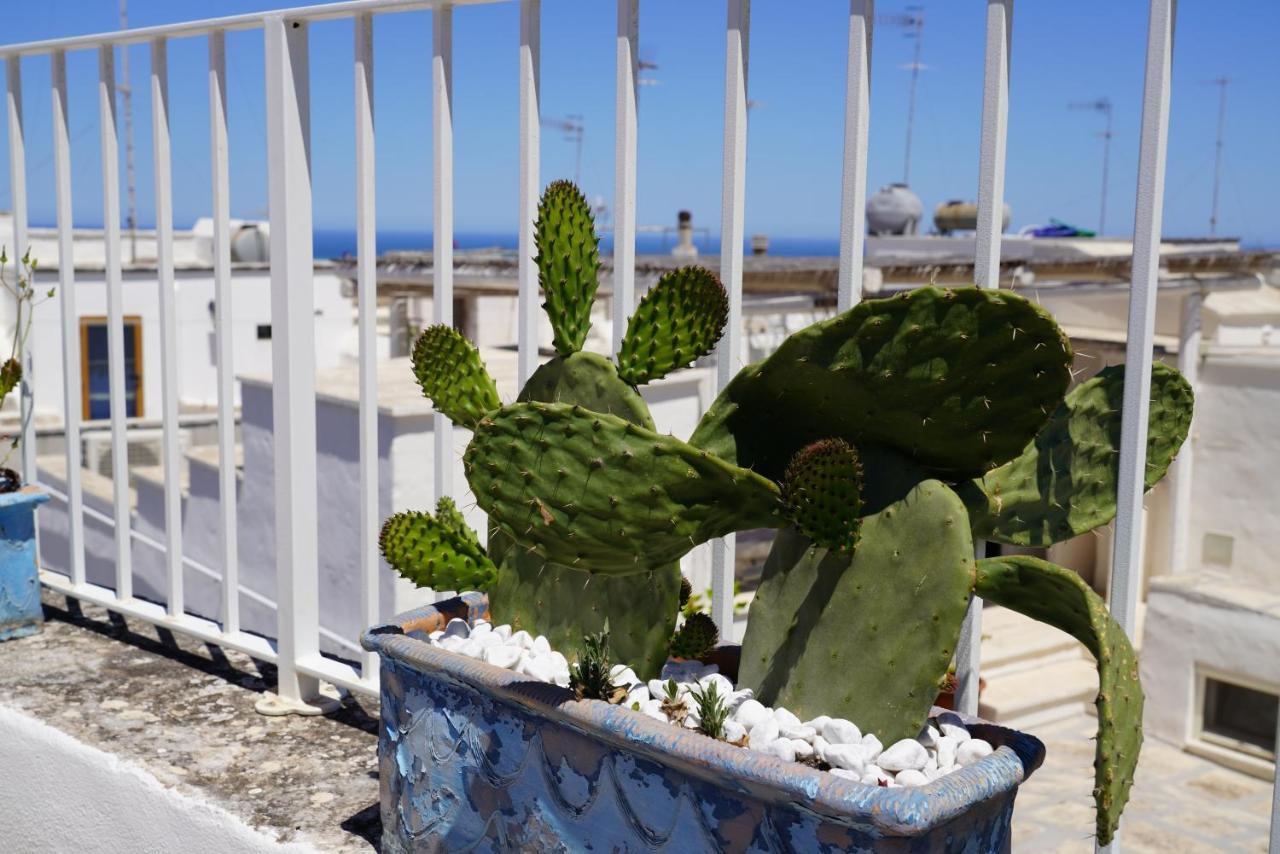 Casabella - Con Terrazza Panoramica Holiday home Ostuni