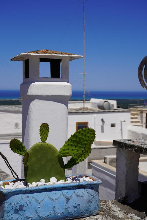 Casabella - Con Terrazza Panoramica Holiday home *